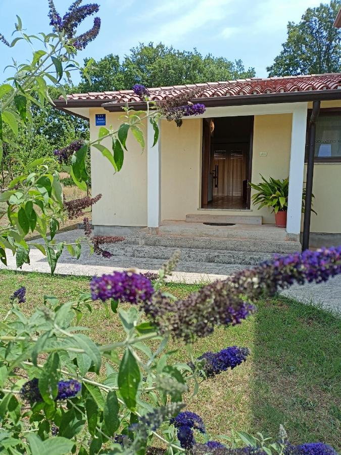 Apartment Studio Ta-Ti Umag Exterior photo